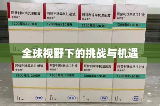 苏州全球视野下的挑战与机遇